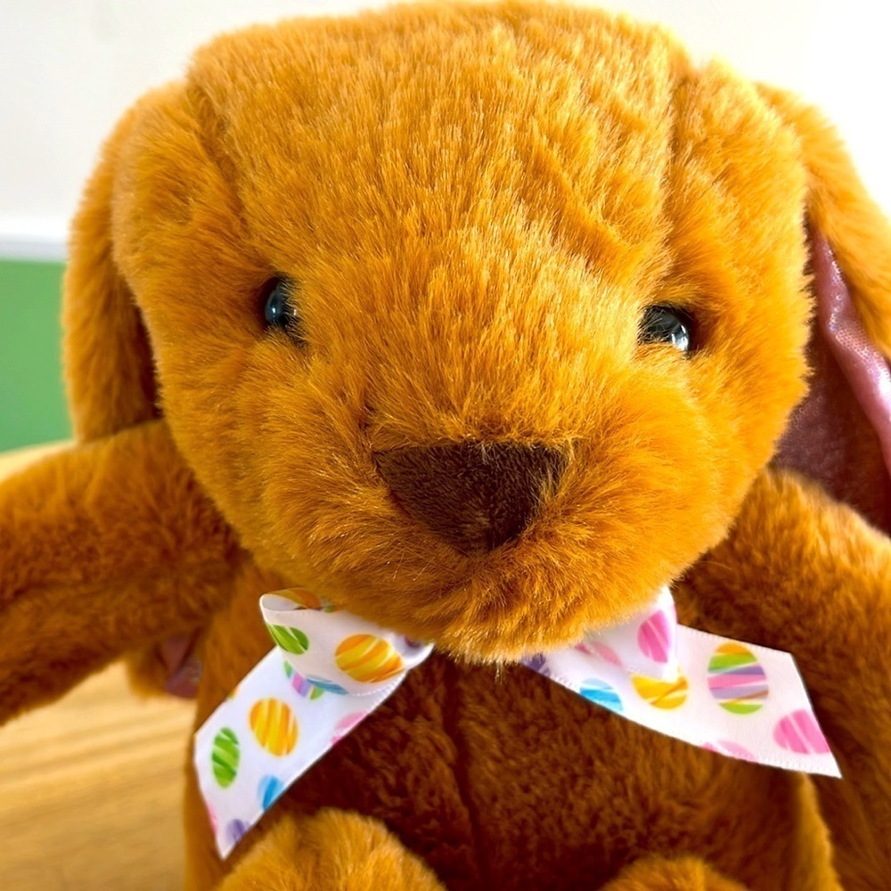 NEW 14” Huggie Hugs Easter Bunny stuffed animal - Picture 7 of 11